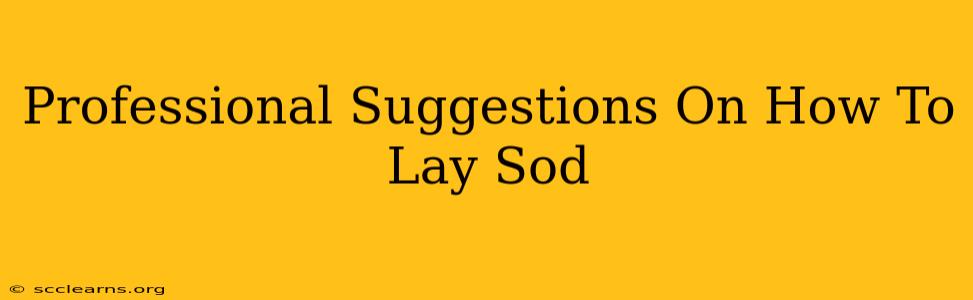 Professional Suggestions On How To Lay Sod