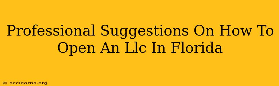 Professional Suggestions On How To Open An Llc In Florida