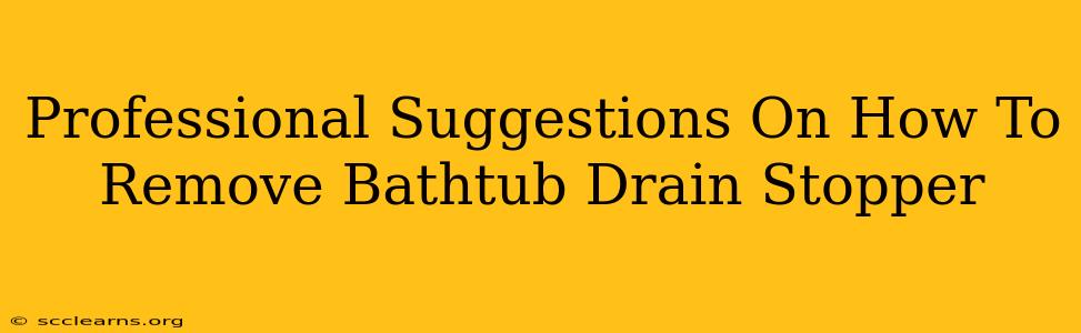 Professional Suggestions On How To Remove Bathtub Drain Stopper