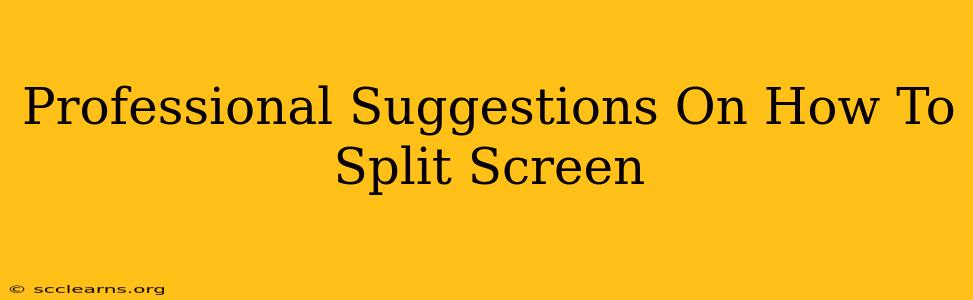 Professional Suggestions On How To Split Screen