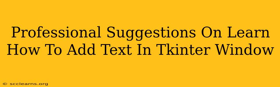 Professional Suggestions On Learn How To Add Text In Tkinter Window