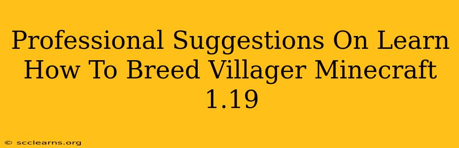 Professional Suggestions On Learn How To Breed Villager Minecraft 1.19