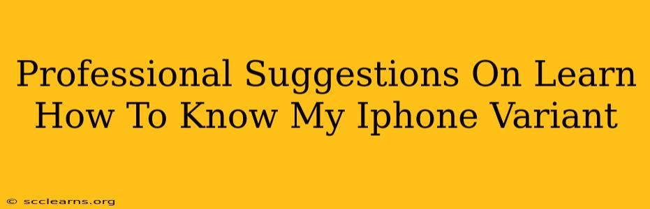 Professional Suggestions On Learn How To Know My Iphone Variant