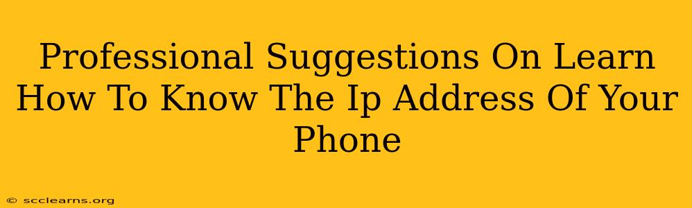 Professional Suggestions On Learn How To Know The Ip Address Of Your Phone