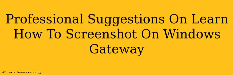 Professional Suggestions On Learn How To Screenshot On Windows Gateway