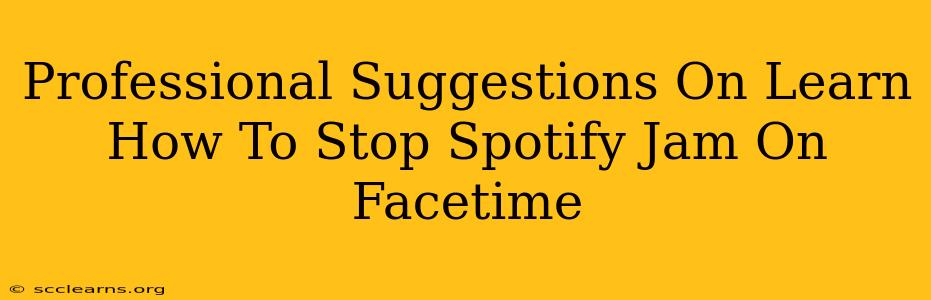 Professional Suggestions On Learn How To Stop Spotify Jam On Facetime