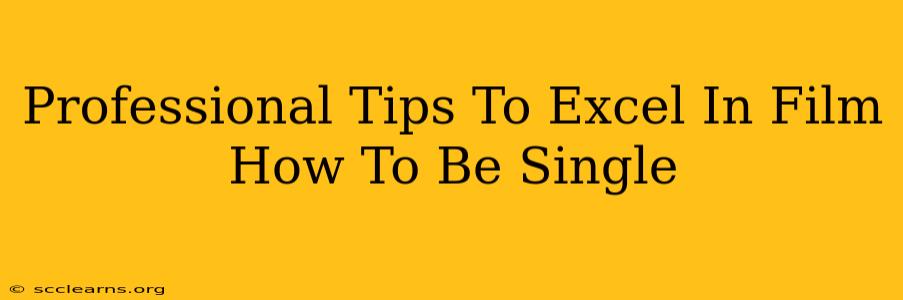 Professional Tips To Excel In Film How To Be Single