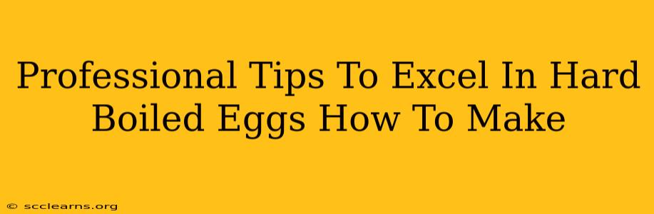 Professional Tips To Excel In Hard Boiled Eggs How To Make