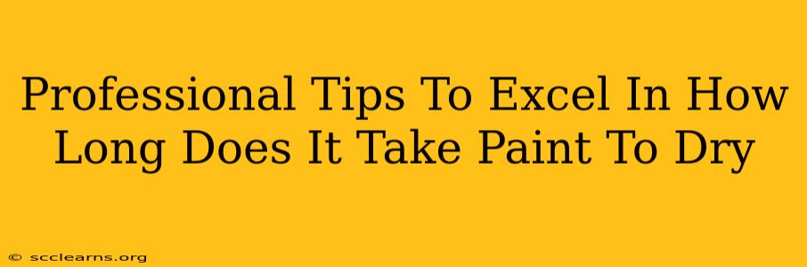 Professional Tips To Excel In How Long Does It Take Paint To Dry