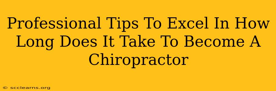 Professional Tips To Excel In How Long Does It Take To Become A Chiropractor