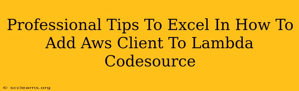 Professional Tips To Excel In How To Add Aws Client To Lambda Codesource