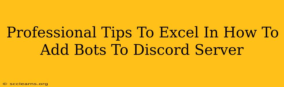 Professional Tips To Excel In How To Add Bots To Discord Server