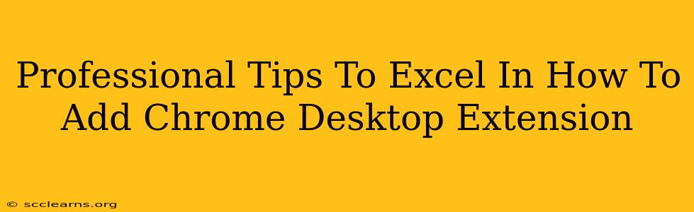 Professional Tips To Excel In How To Add Chrome Desktop Extension