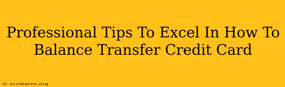 Professional Tips To Excel In How To Balance Transfer Credit Card