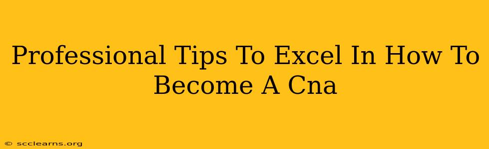 Professional Tips To Excel In How To Become A Cna