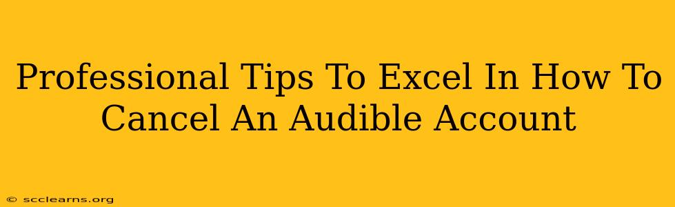 Professional Tips To Excel In How To Cancel An Audible Account