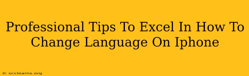 Professional Tips To Excel In How To Change Language On Iphone