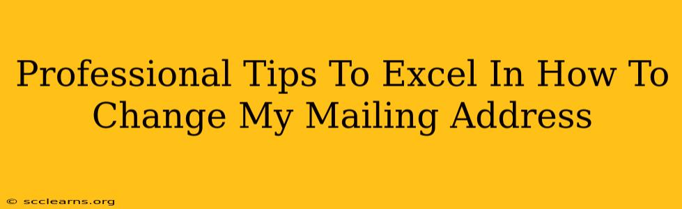 Professional Tips To Excel In How To Change My Mailing Address