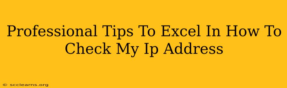 Professional Tips To Excel In How To Check My Ip Address