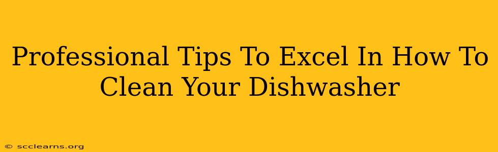 Professional Tips To Excel In How To Clean Your Dishwasher