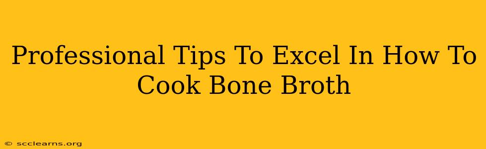 Professional Tips To Excel In How To Cook Bone Broth