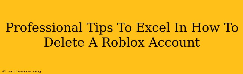 Professional Tips To Excel In How To Delete A Roblox Account