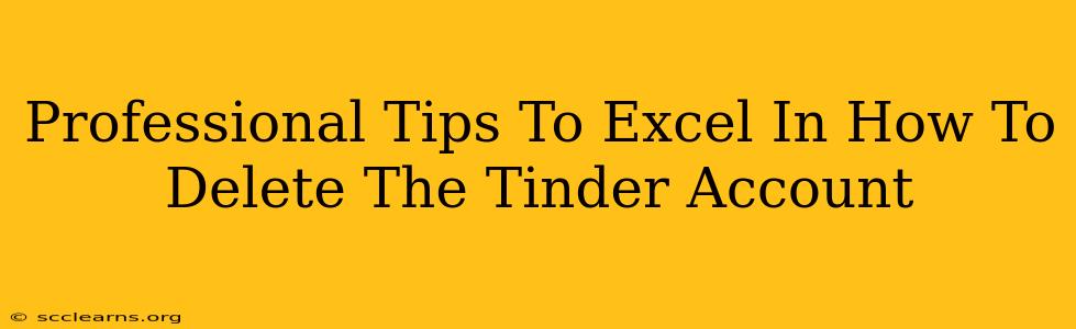 Professional Tips To Excel In How To Delete The Tinder Account