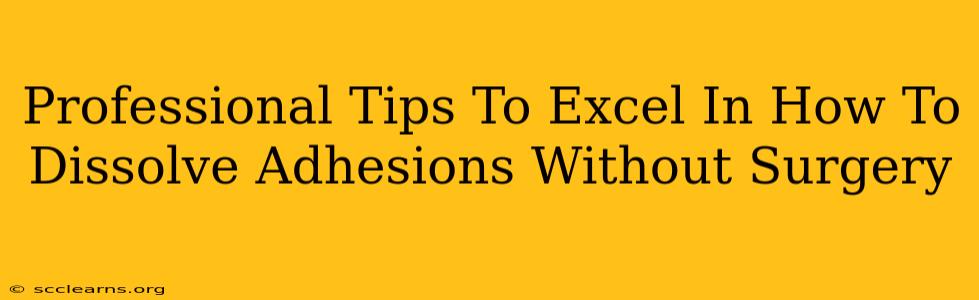 Professional Tips To Excel In How To Dissolve Adhesions Without Surgery