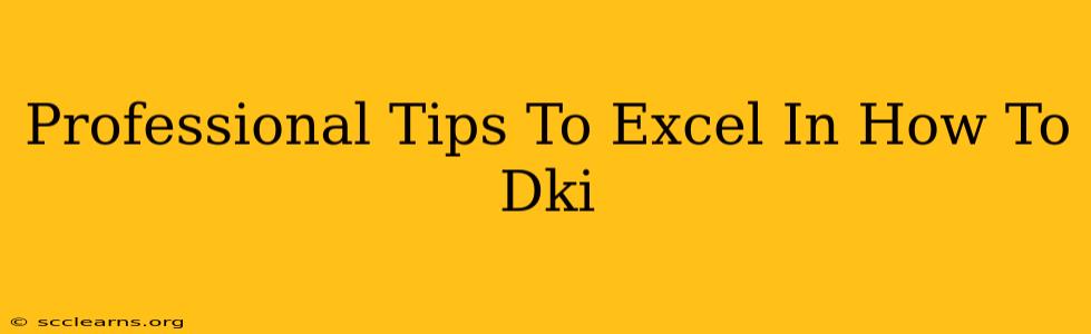 Professional Tips To Excel In How To Dki