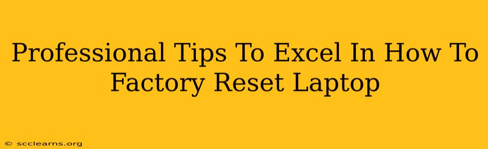 Professional Tips To Excel In How To Factory Reset Laptop