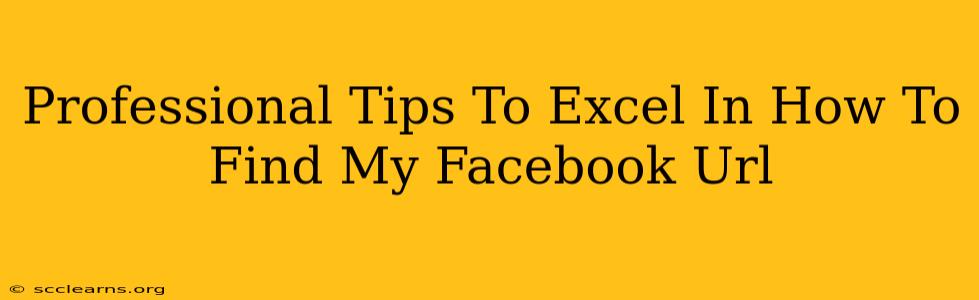 Professional Tips To Excel In How To Find My Facebook Url