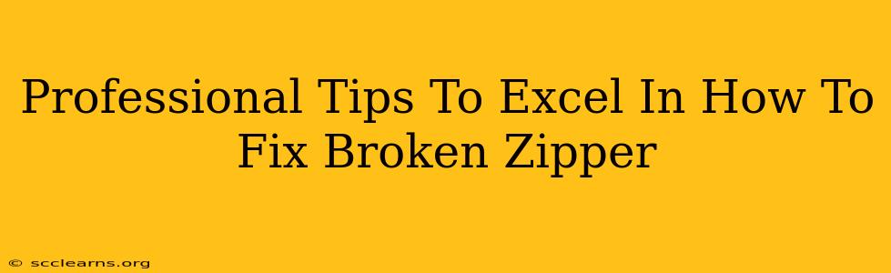 Professional Tips To Excel In How To Fix Broken Zipper