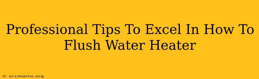 Professional Tips To Excel In How To Flush Water Heater