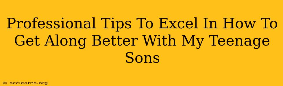 Professional Tips To Excel In How To Get Along Better With My Teenage Sons