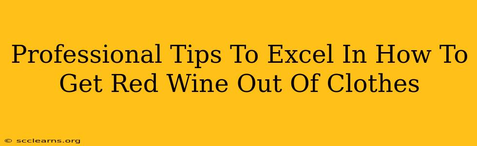 Professional Tips To Excel In How To Get Red Wine Out Of Clothes