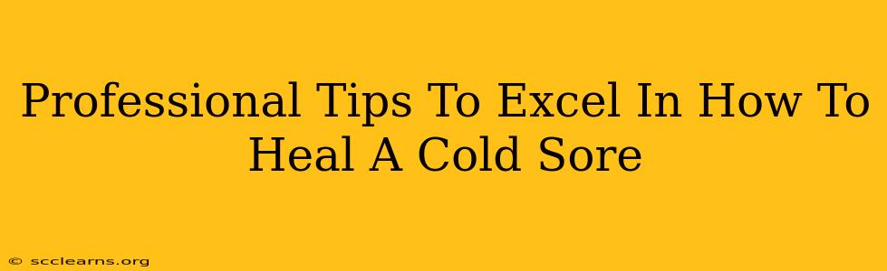 Professional Tips To Excel In How To Heal A Cold Sore