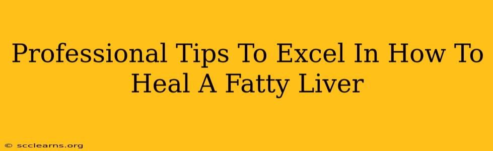 Professional Tips To Excel In How To Heal A Fatty Liver