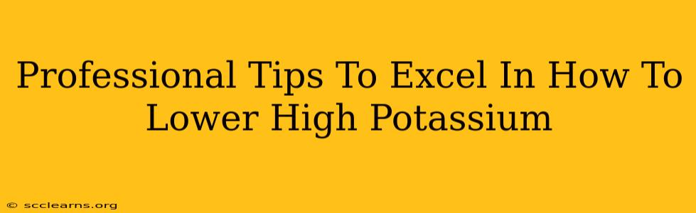 Professional Tips To Excel In How To Lower High Potassium