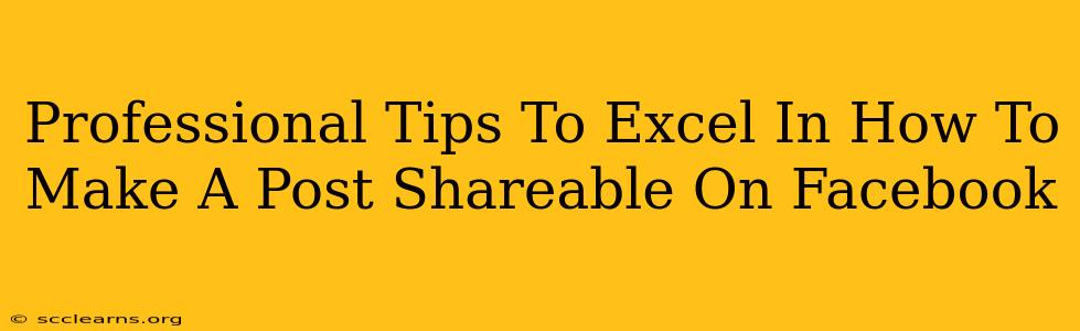 Professional Tips To Excel In How To Make A Post Shareable On Facebook