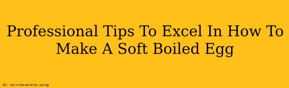 Professional Tips To Excel In How To Make A Soft Boiled Egg