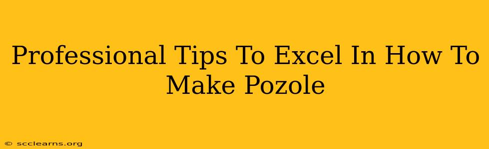 Professional Tips To Excel In How To Make Pozole