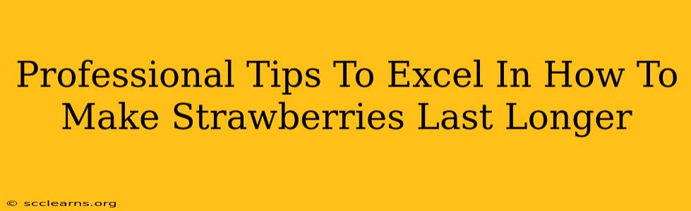 Professional Tips To Excel In How To Make Strawberries Last Longer