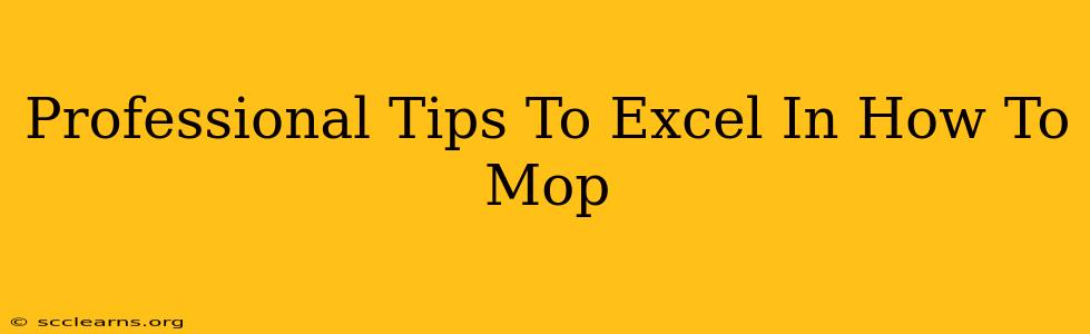 Professional Tips To Excel In How To Mop