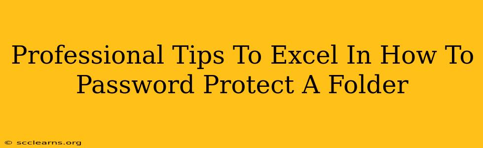 Professional Tips To Excel In How To Password Protect A Folder