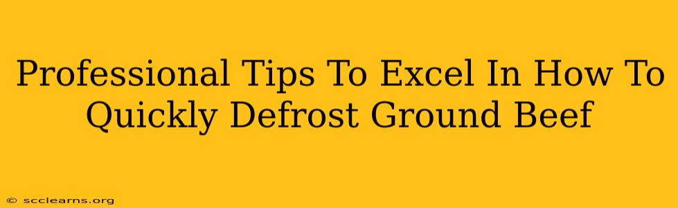 Professional Tips To Excel In How To Quickly Defrost Ground Beef