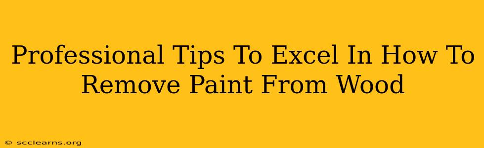 Professional Tips To Excel In How To Remove Paint From Wood