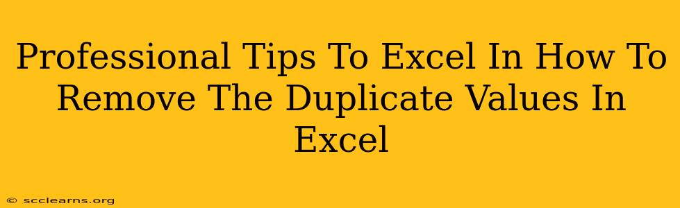 Professional Tips To Excel In How To Remove The Duplicate Values In Excel