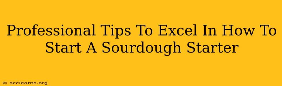 Professional Tips To Excel In How To Start A Sourdough Starter