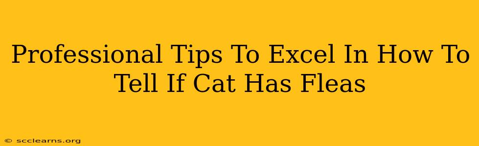 Professional Tips To Excel In How To Tell If Cat Has Fleas