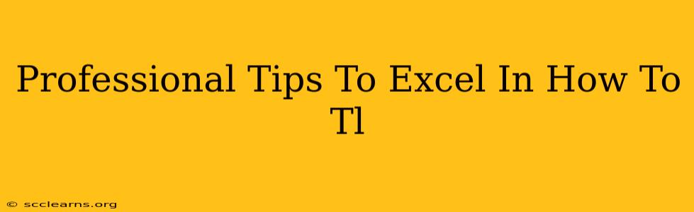 Professional Tips To Excel In How To Tl